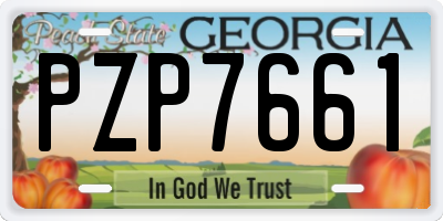 GA license plate PZP7661