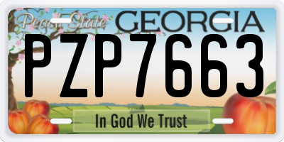 GA license plate PZP7663