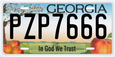 GA license plate PZP7666