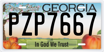 GA license plate PZP7667