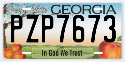 GA license plate PZP7673