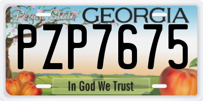 GA license plate PZP7675