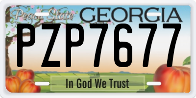GA license plate PZP7677