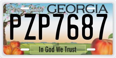 GA license plate PZP7687