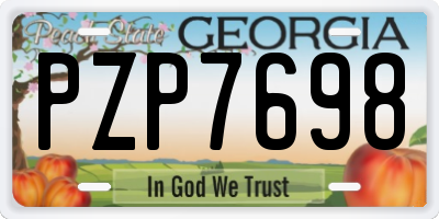 GA license plate PZP7698