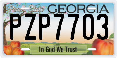 GA license plate PZP7703