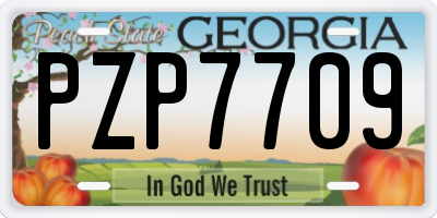 GA license plate PZP7709