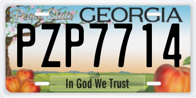 GA license plate PZP7714
