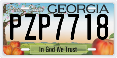 GA license plate PZP7718
