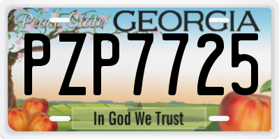 GA license plate PZP7725