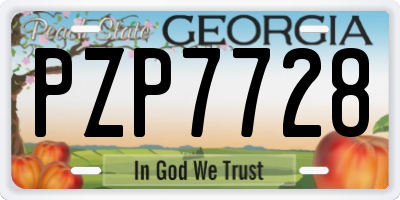 GA license plate PZP7728