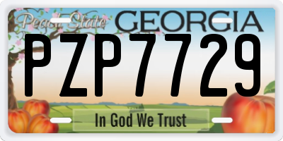 GA license plate PZP7729