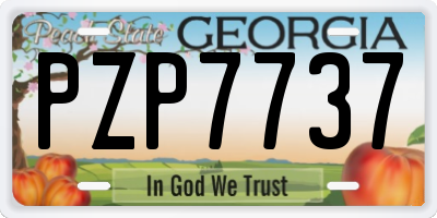 GA license plate PZP7737