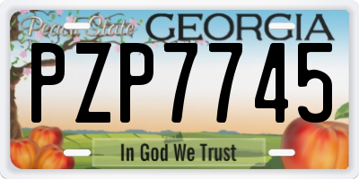 GA license plate PZP7745