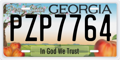 GA license plate PZP7764
