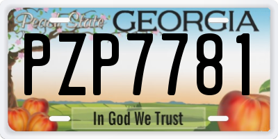 GA license plate PZP7781