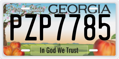GA license plate PZP7785