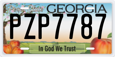 GA license plate PZP7787