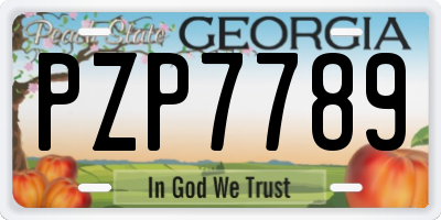 GA license plate PZP7789