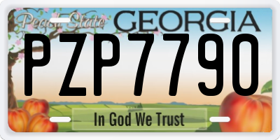 GA license plate PZP7790