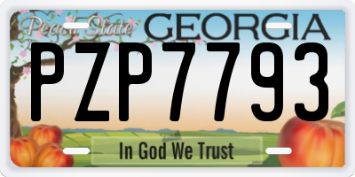 GA license plate PZP7793