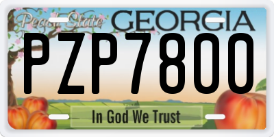 GA license plate PZP7800