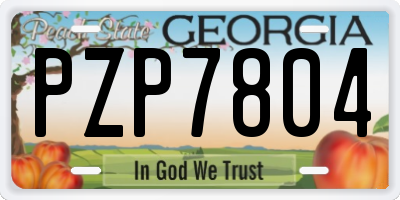 GA license plate PZP7804