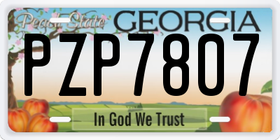 GA license plate PZP7807