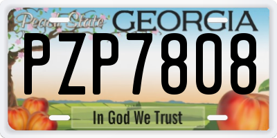 GA license plate PZP7808