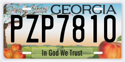 GA license plate PZP7810