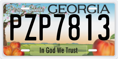 GA license plate PZP7813