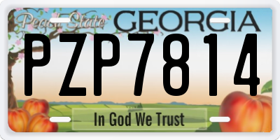 GA license plate PZP7814