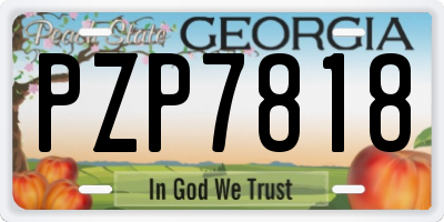 GA license plate PZP7818