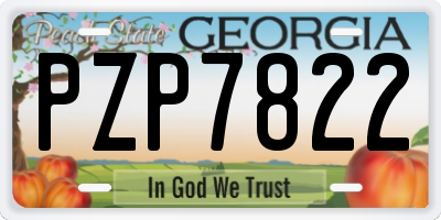 GA license plate PZP7822
