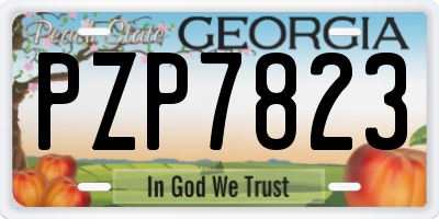 GA license plate PZP7823