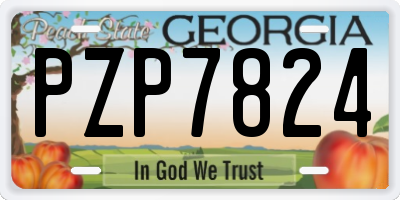 GA license plate PZP7824