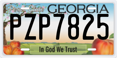 GA license plate PZP7825
