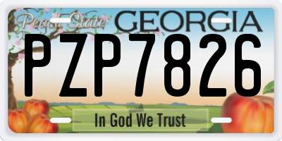 GA license plate PZP7826