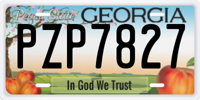 GA license plate PZP7827