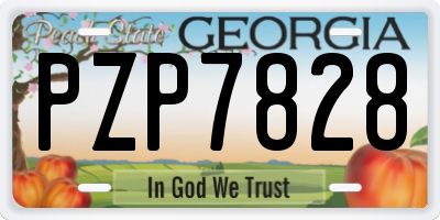 GA license plate PZP7828