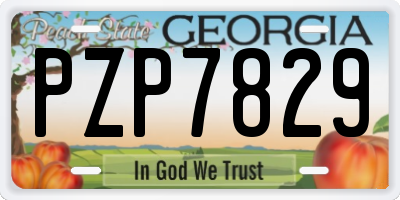 GA license plate PZP7829
