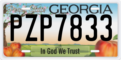GA license plate PZP7833