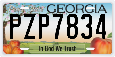 GA license plate PZP7834