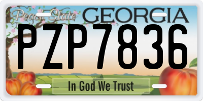 GA license plate PZP7836