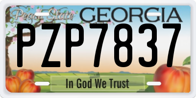GA license plate PZP7837