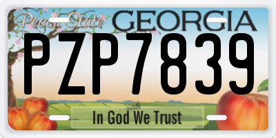 GA license plate PZP7839