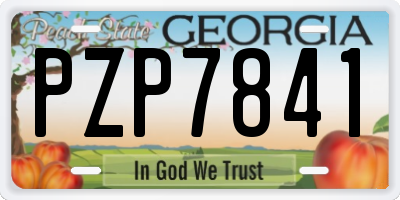 GA license plate PZP7841