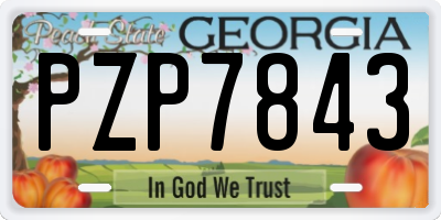 GA license plate PZP7843