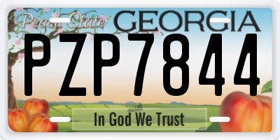 GA license plate PZP7844