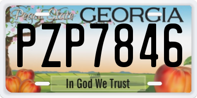 GA license plate PZP7846